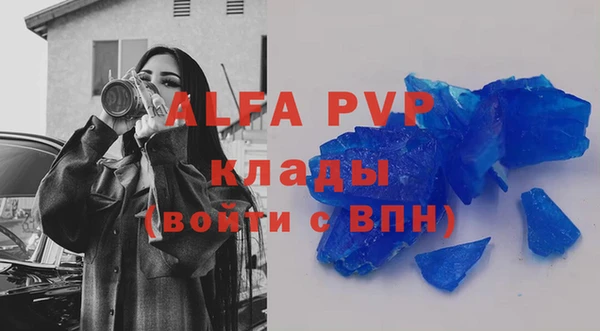 spice Богданович