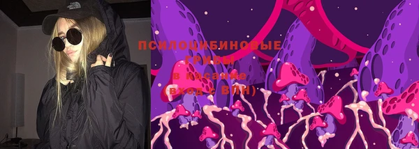 спайс Богородицк