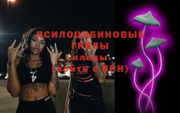 молекула духа Бронницы