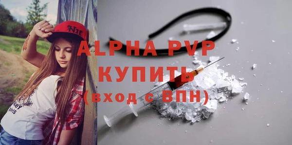 spice Богданович