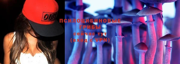 соль ск Семёнов