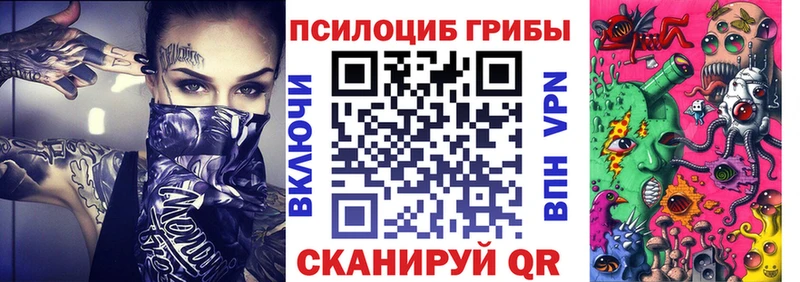 где купить   Десногорск  Галлюциногенные грибы Psilocybe 